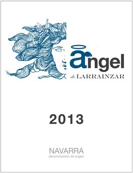Angel De Larrainzar