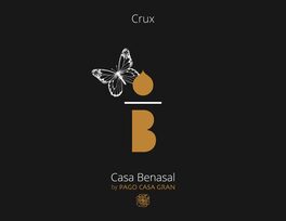 Casa Benasal Crux