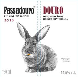 Passadouro