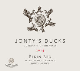 Jonty's Ducks Pekin Red