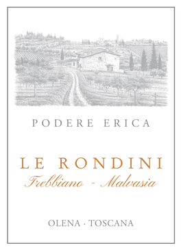 Rondini