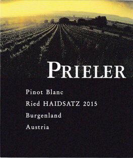 Haidsatz
