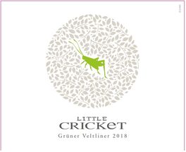 Little Cricket