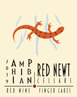 Amphibian