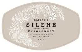 Silene