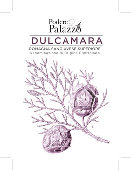 Dulcamara