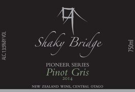 Pioneer Series