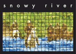 Snowy River Merlot