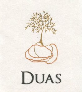 Duas Pedras