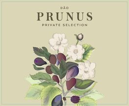 Prunus