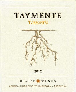 Torrontes