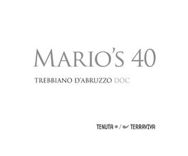 Mario's 40