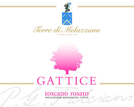 Gattice