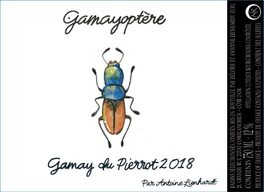 Gamayoptere