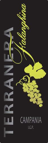 Falanghina