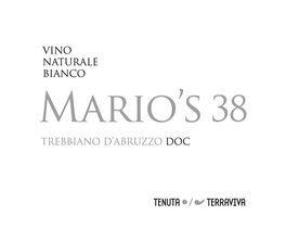 Mario's