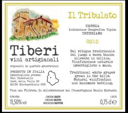 Tribulato
