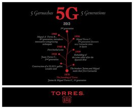 5g
