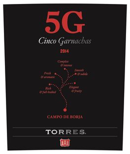5g