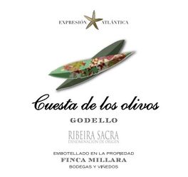 Cuesta De Los Olivos