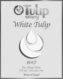 White Tulip