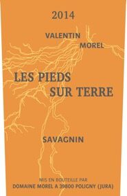 Les Pieds Sur Terre