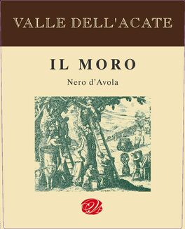 Il Moro