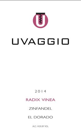Radix Vinea
