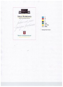 Villa Floriano