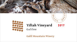 Yiftah Vineyard