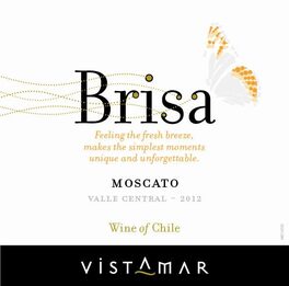 Brisa