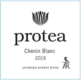 Protea