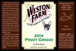 Pinot Grigio