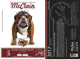 Visual Flight Rules