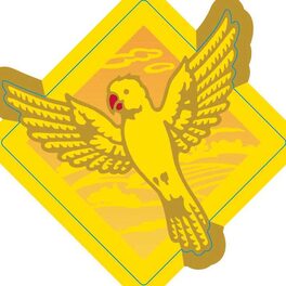 Yellow Bird