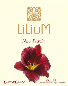 Lilium