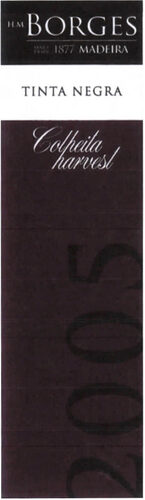 Colheita Harvest Tinta Negra