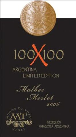 100X100