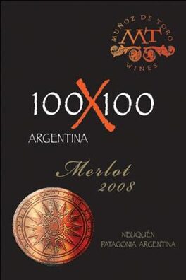 100X100