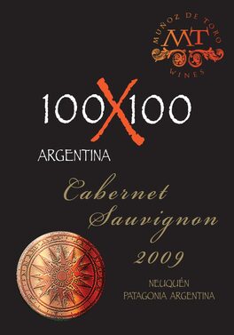 100X100