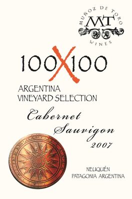 100X100