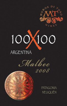 100X100