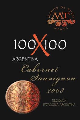 100X100