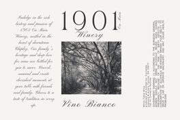 Vino Bianco