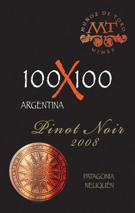 100X100
