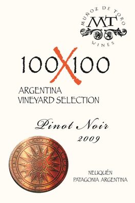 100X100
