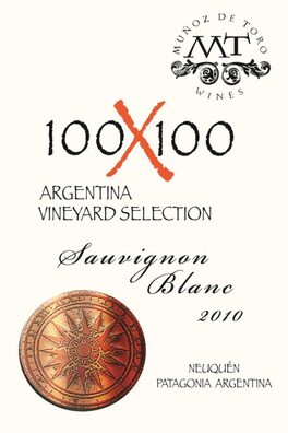 100X100