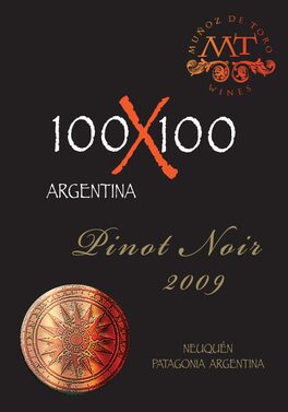 100X100