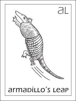 Armadillo's Leap