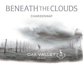 Beneath The Clouds